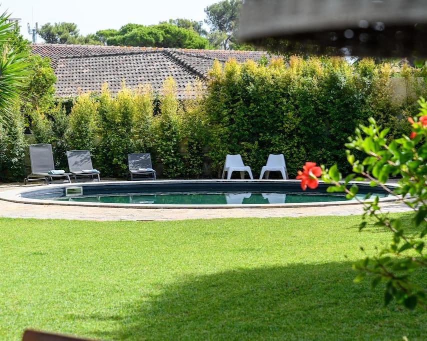 Monza Cascais
